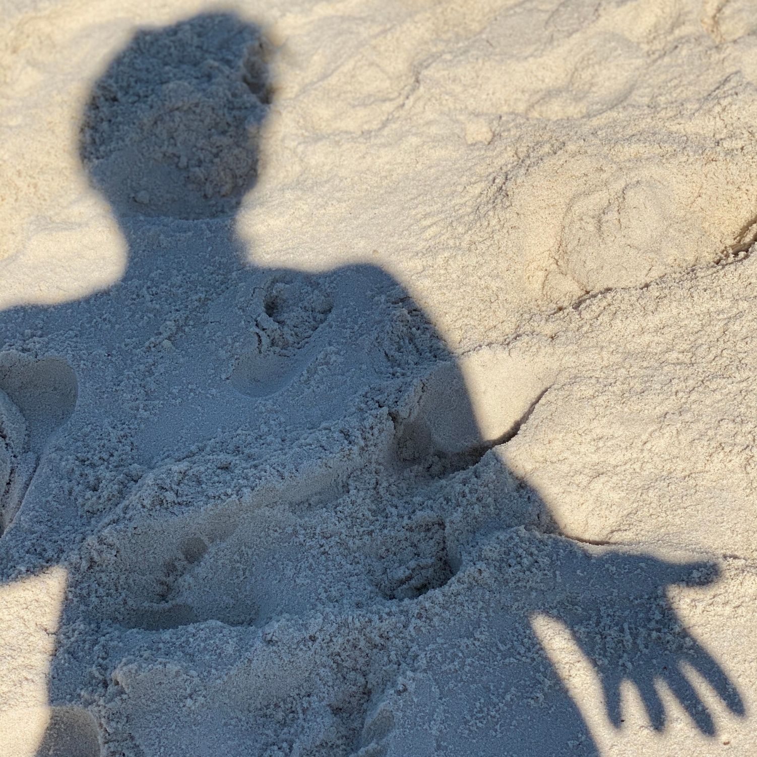 zanna_blog_som_e_silencio_artigo_post_foto4