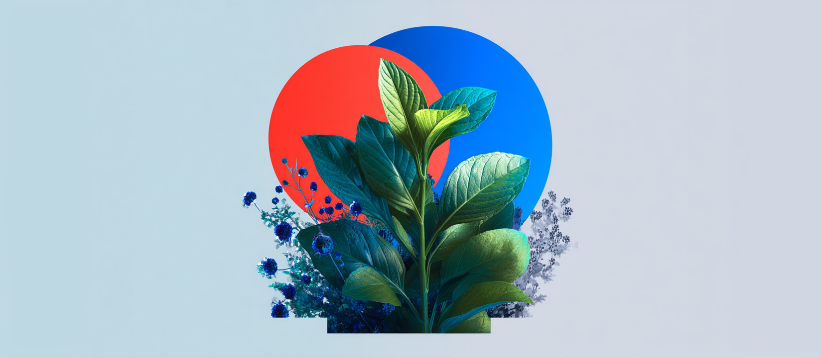 Sound Branding Startup