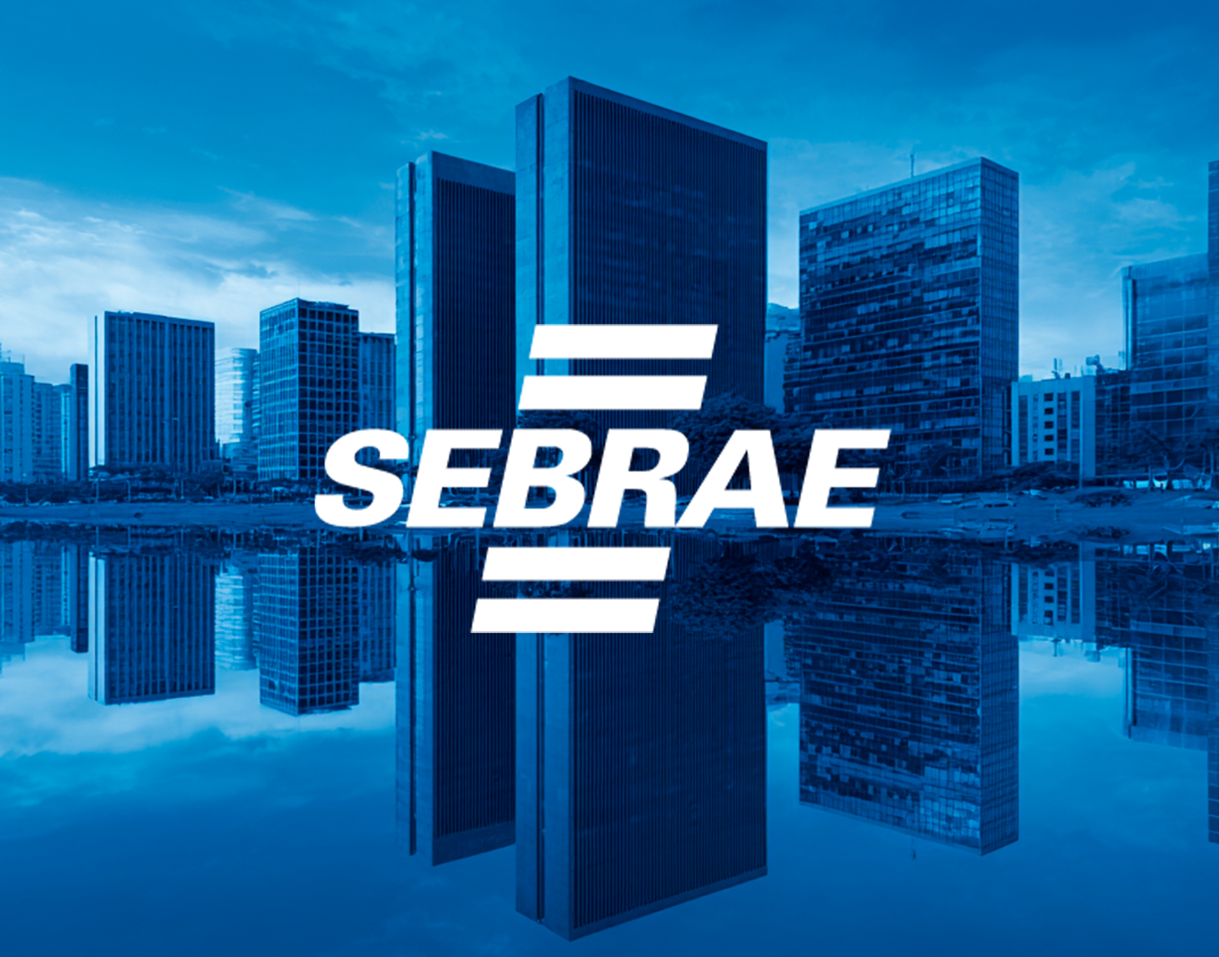 SEBRAE